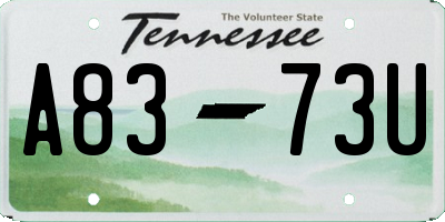 TN license plate A8373U