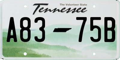 TN license plate A8375B