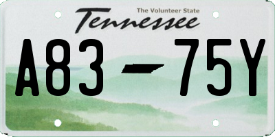 TN license plate A8375Y