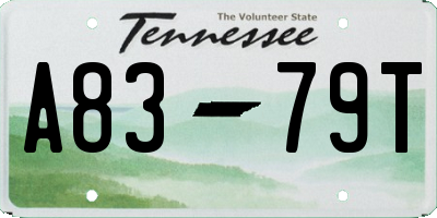TN license plate A8379T