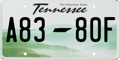 TN license plate A8380F