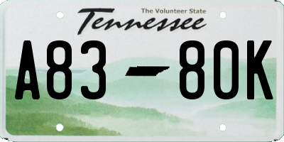 TN license plate A8380K