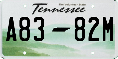 TN license plate A8382M