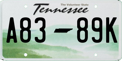 TN license plate A8389K