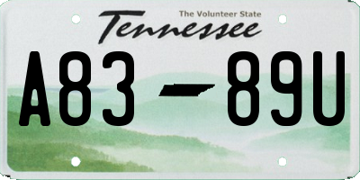 TN license plate A8389U