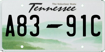 TN license plate A8391C
