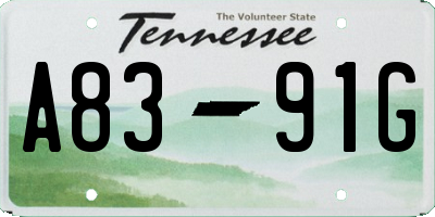 TN license plate A8391G