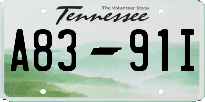 TN license plate A8391I