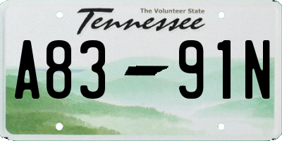 TN license plate A8391N