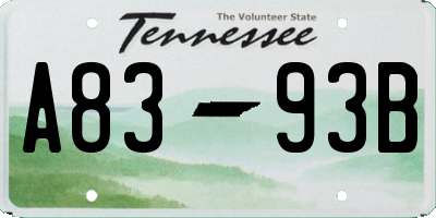 TN license plate A8393B