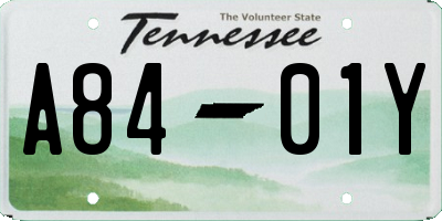 TN license plate A8401Y