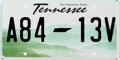 TN license plate A8413V