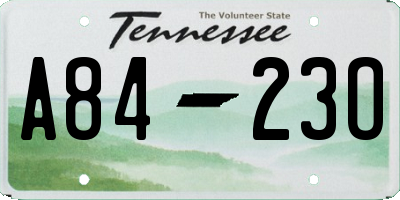 TN license plate A8423O