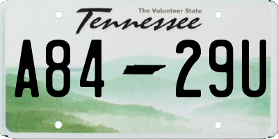 TN license plate A8429U