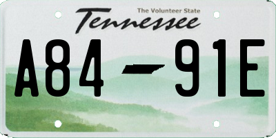 TN license plate A8491E