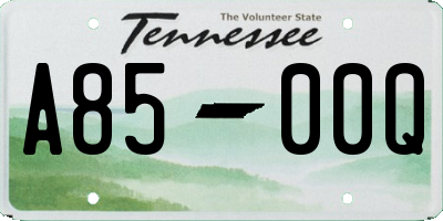 TN license plate A8500Q