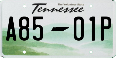 TN license plate A8501P