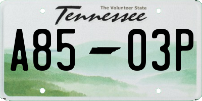 TN license plate A8503P