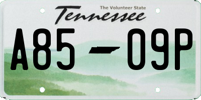 TN license plate A8509P