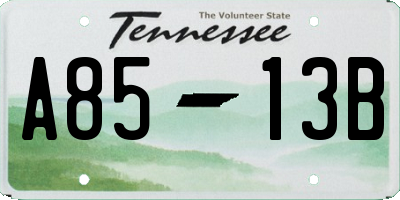 TN license plate A8513B