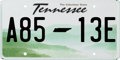 TN license plate A8513E