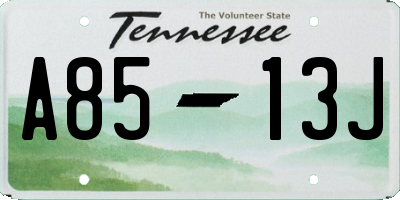 TN license plate A8513J