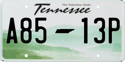 TN license plate A8513P