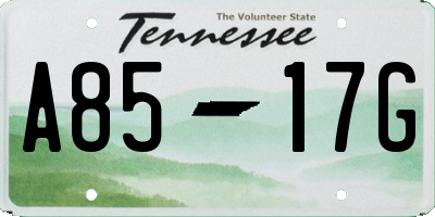 TN license plate A8517G