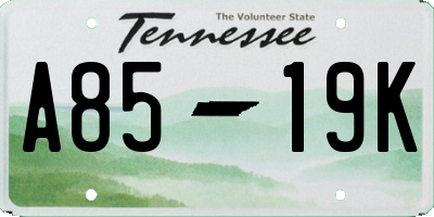 TN license plate A8519K