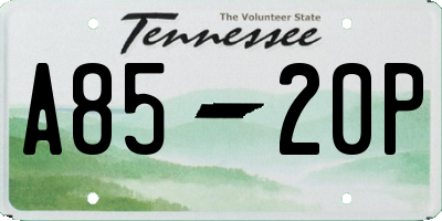 TN license plate A8520P