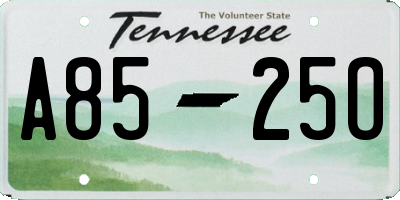 TN license plate A8525O