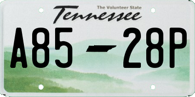 TN license plate A8528P