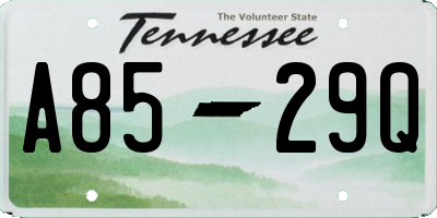 TN license plate A8529Q