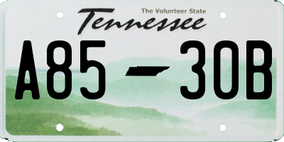 TN license plate A8530B