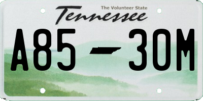 TN license plate A8530M