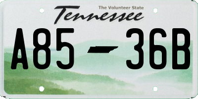 TN license plate A8536B