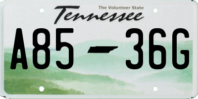 TN license plate A8536G