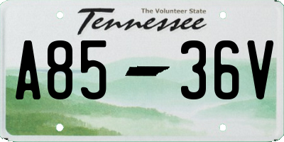 TN license plate A8536V