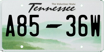 TN license plate A8536W