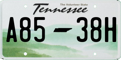 TN license plate A8538H