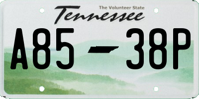 TN license plate A8538P