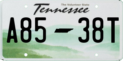 TN license plate A8538T