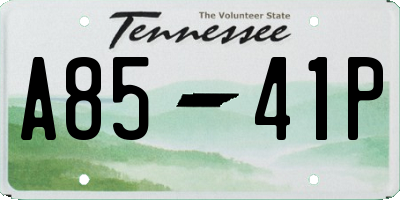 TN license plate A8541P