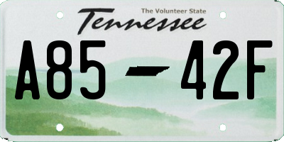 TN license plate A8542F