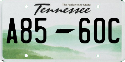 TN license plate A8560C