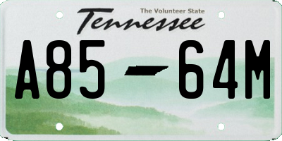 TN license plate A8564M