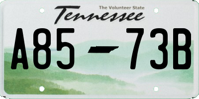 TN license plate A8573B