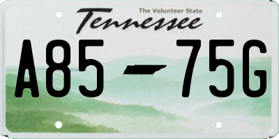 TN license plate A8575G