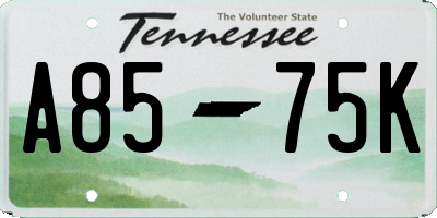 TN license plate A8575K