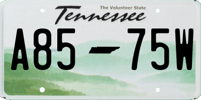 TN license plate A8575W